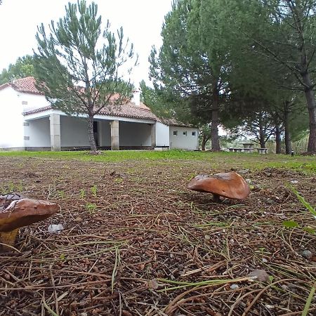 Willa Casa De Perais Zewnętrze zdjęcie